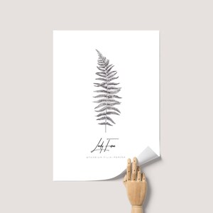 Fern Botanical Print, Botanical Print Sets, Vintage Fern Prints, Fern Print Set, Nordic Art Design, Gallery Wall Plant Leaf Art Print image 8