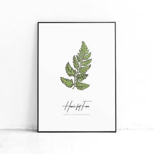 Printable Fern Wall Art Decor, Fern Botanical Print, Fern Wall Hanging, Green Leaves Poster, Modern Leaves Print, Modern Large Art image 5