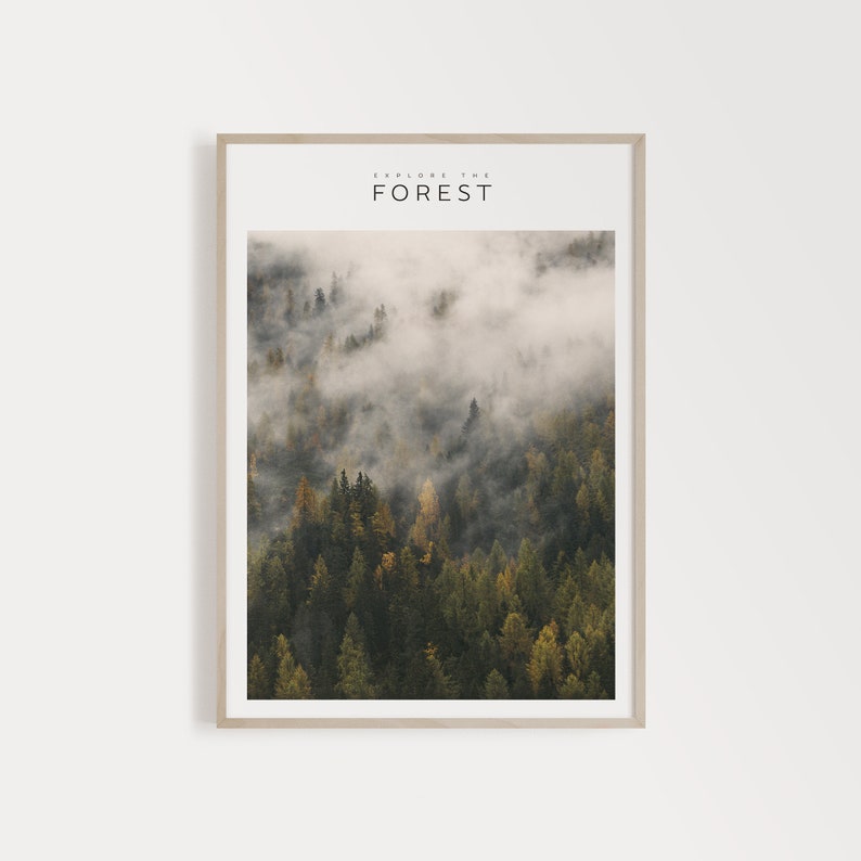 Printable Forest Art, Explore Decor, Nordic Print Design, Modern Large Print, Large Wall Art Ideas, Entryway Decor, Home Decor Printable Art image 1