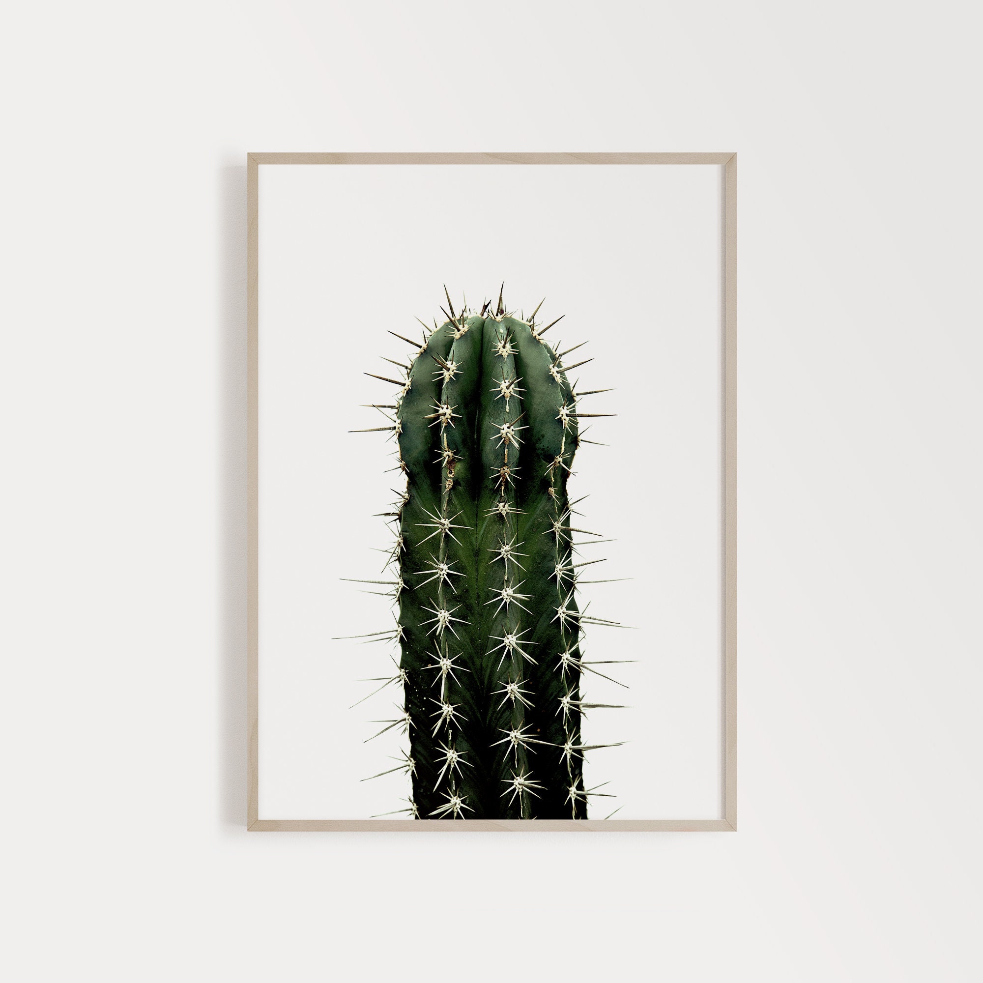 Cactus Print,Modern Minimalist,Wall Prints,Printable Art,Cacti,Digital Prints,Cactus Wall Art,Cactus Poster,Cactus Prints,Cactus Photography