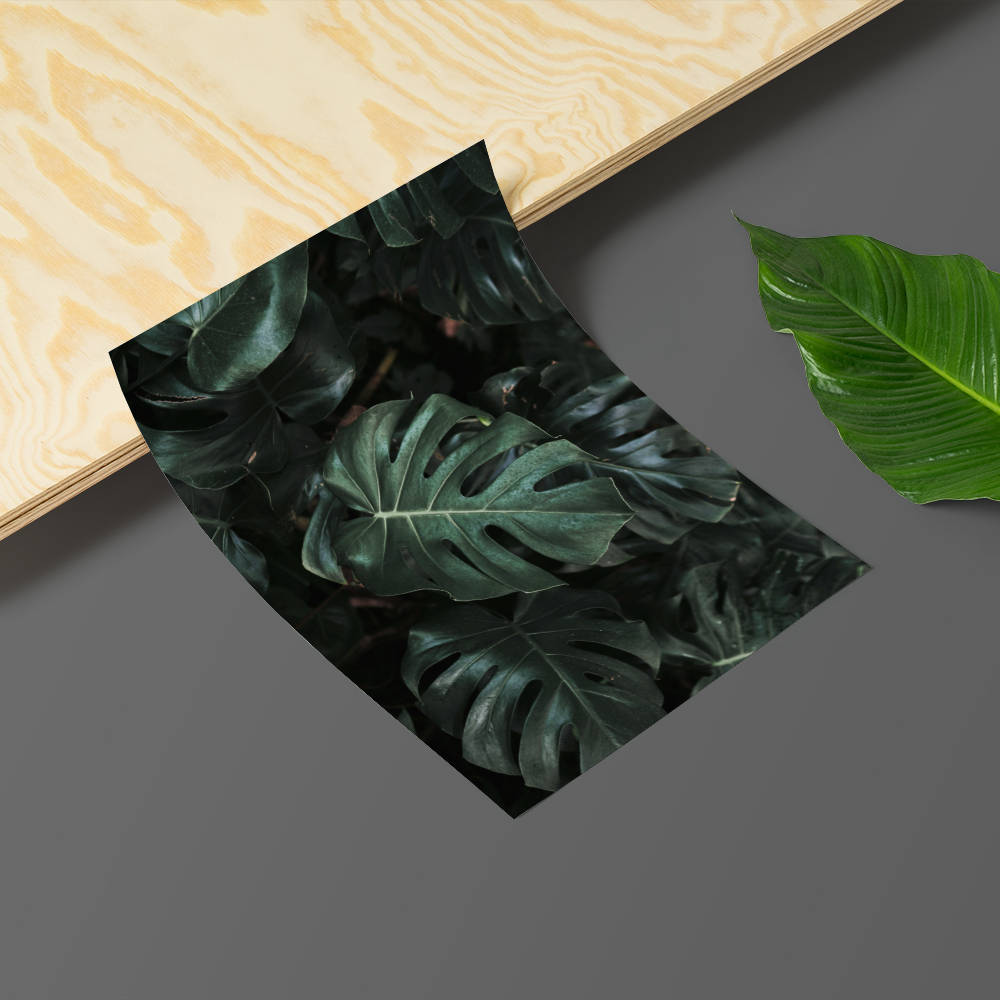 Monstera Leaves Gallery Wall Ideas Printable Monstera Wall Etsy