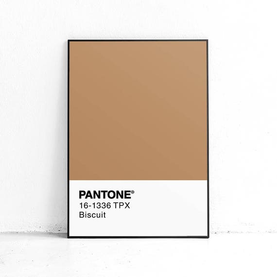 SCARICA PANTONE