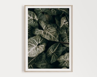 Printable Green Leaves Poster, Green Poster Ideas, Green Wall Pictures, Modern Green Poster Monstera Leafs, Tropical Leaves Botanical Prints