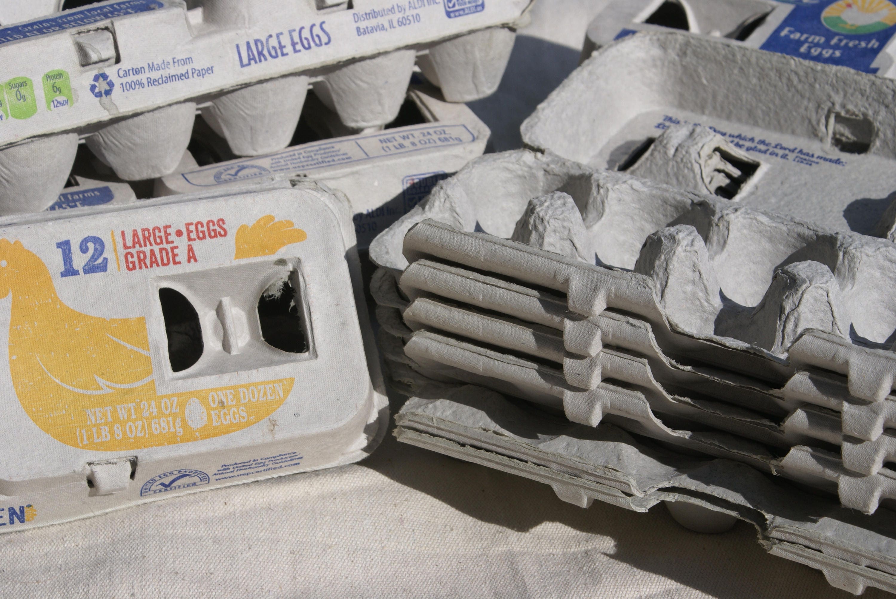 10 Egg Cartons Cardboard Egg Cartons Classroom Craft Etsy