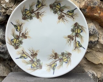 Tiefer Coupé Keramik Tellerteller 26 cm Rund mit Blaumeise Vogel Designs