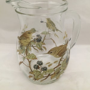 Wren Bird Design on 500ml Glass Picher Jug