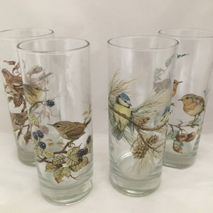 Garden Bird Designs on 4 Heavey Base Large Hi Ball Juice Cocktail Glasses