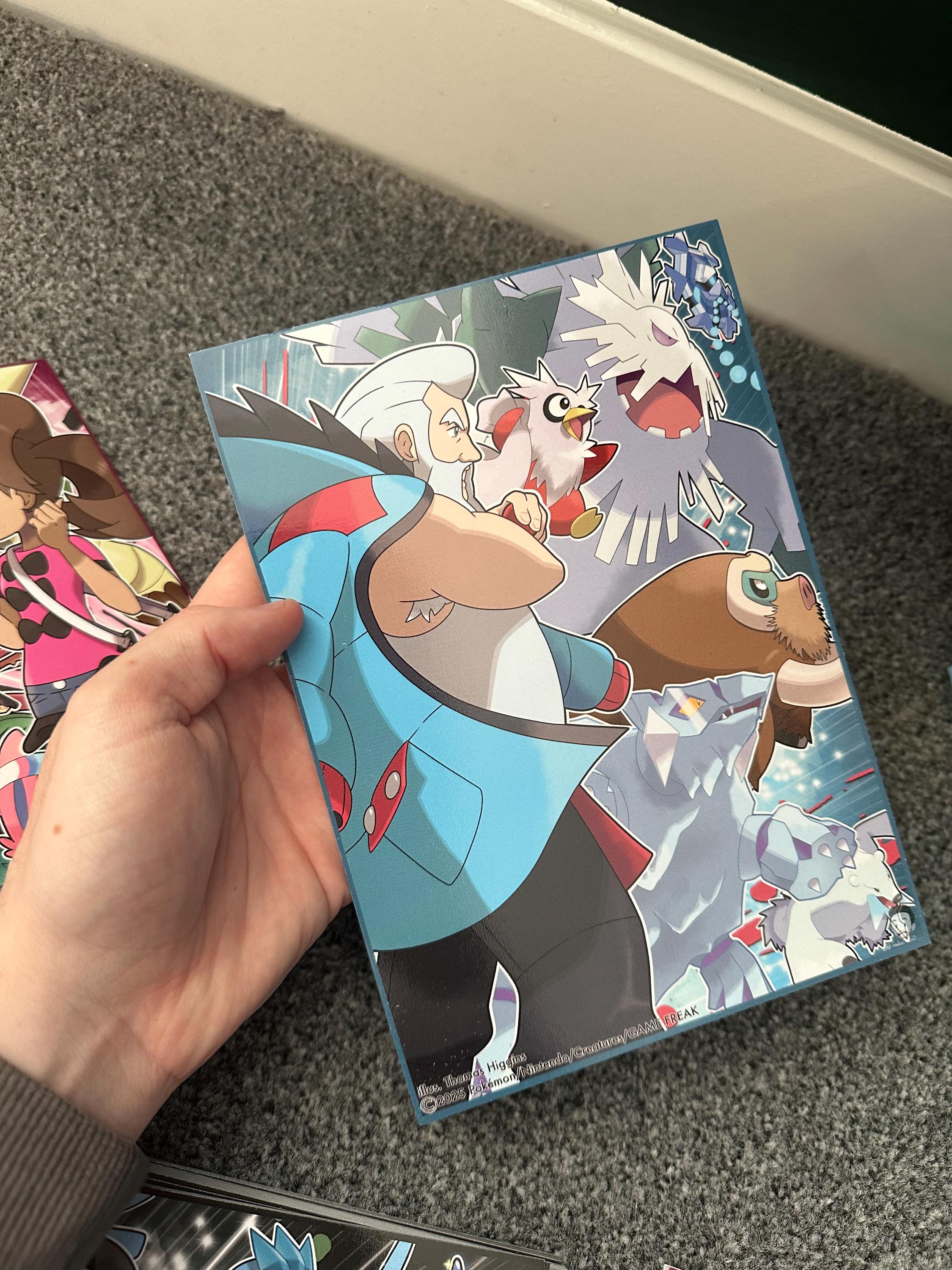 Snowbelle Gym Leader Wulfric - Etsy