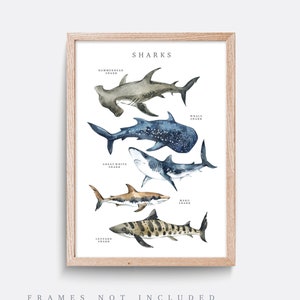 Shark Print, Types of Sharks art, Educational print, Whale nursery print, Bathroom wall decor, Living room art, Shark species art