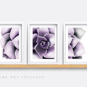 Succulent print, Set of 3 Prints, Plant wall art, Minimalist Prints, Purple Art Print, Home decor, Botanical print, Living room, Leaf