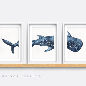 Nautical wall art, Set of 3 sea themed prints, Whale wall art, Kid bedroom art, Baby nursery decor, Nautical nursery art, Whale print