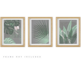 Botanical Art Prints Set: Green Leaf Wall Decor