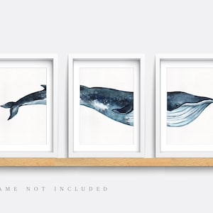 Nautical wall art, Set of 3 sea themed prints, Whale wall art, Kid bedroom art, Baby nursery decor, Nautical nursery art, Whale print