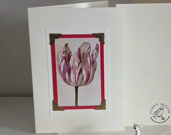 Op de afbeelding: Een witte kaart met een rode rand en een gouden lijst om een vintage illustratie van een witte en roze tulp. De kaart is blanco aan de binnenkant en heeft een klein logo op de achterkant met de tekst "Fuzzy Mouse".