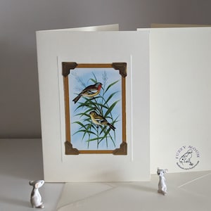 Handmade greetings/birthday card. Genuine vintage playing card, 1960s. Beautiful Illustration of male & female Chaffinches, garden birds.