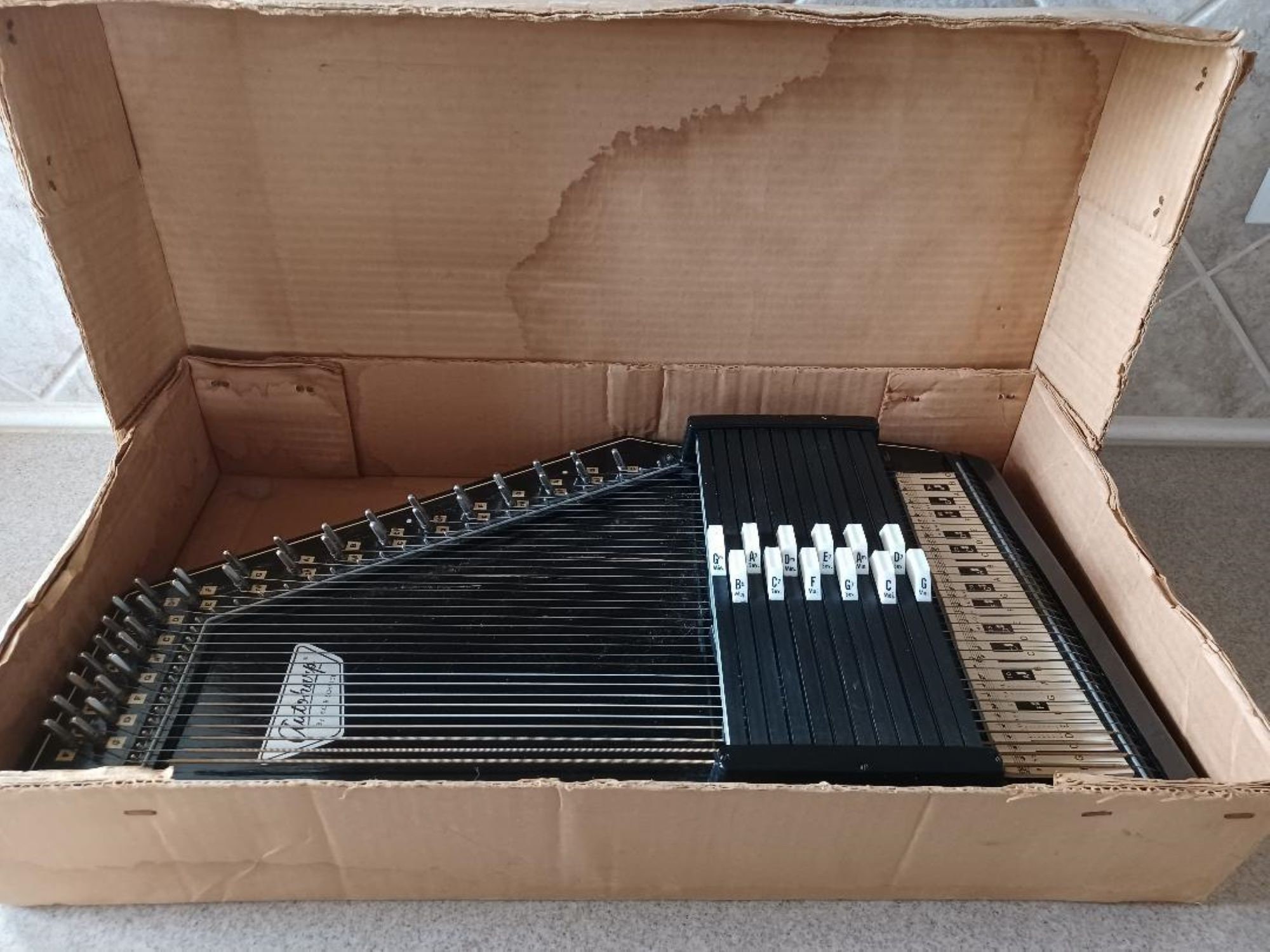 Vintage autoharp value bettacamping