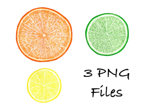 Citrus Slices 3 PNG files for printing, stickers, decals, mugs, orange, lemon, lime