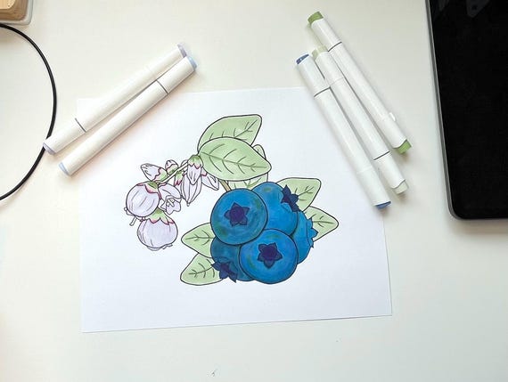 Blueberry Plant Fruit Digital Download Printable Coloring Page for all ages, relax and color
