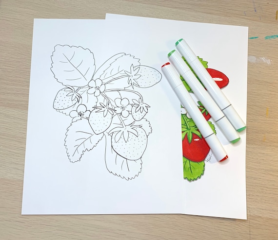 Strawberry Digital Download Printable Coloring Page for all ages, relax and color