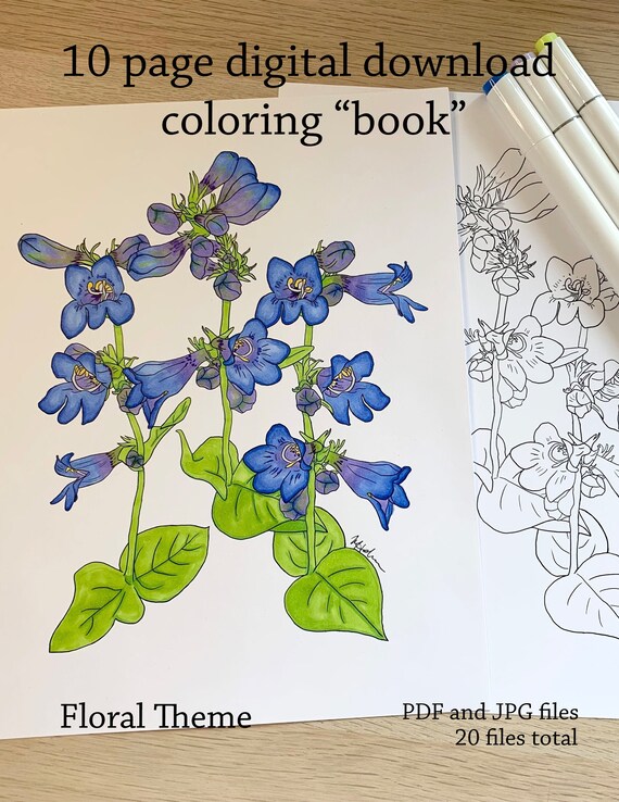 Coloring "Book" Digital Download, 10 jpg and 10 pdf files, Floral Theme