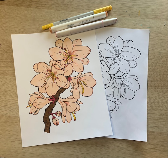 Coloring Page for kids and adults, floral cherry blossom plant, digital download pdf or jpeg