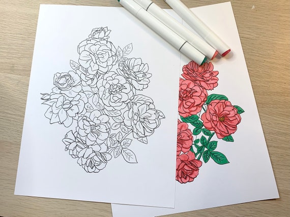 Coloring Page for kids and adults, floral rose plant, digital download pdf or jpeg