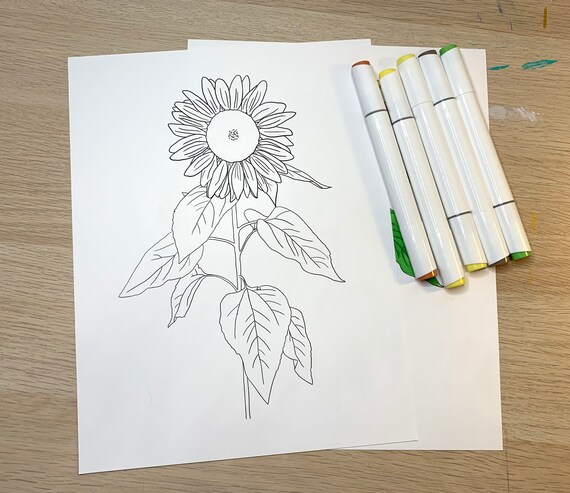 Digital Download Printable Coloring Page, Sunflower, For All Ages