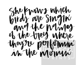 Avett Brothers Tour 2025 Meet-and-Greet Experience