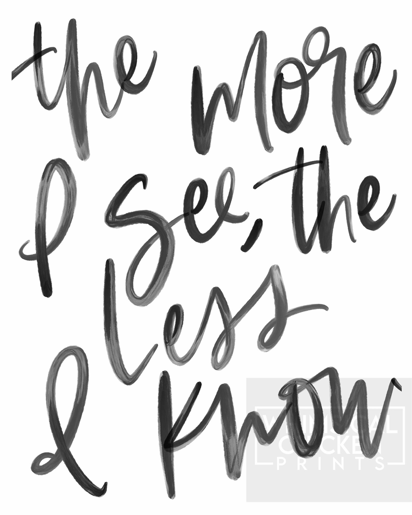 The More I See the Less I Know Red Hot Chili Peppers - Etsy