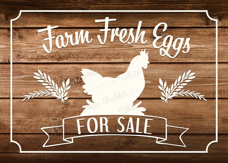 Farm Fresh Eggs For Sale: Digital File svg eps png jpeg | Etsy