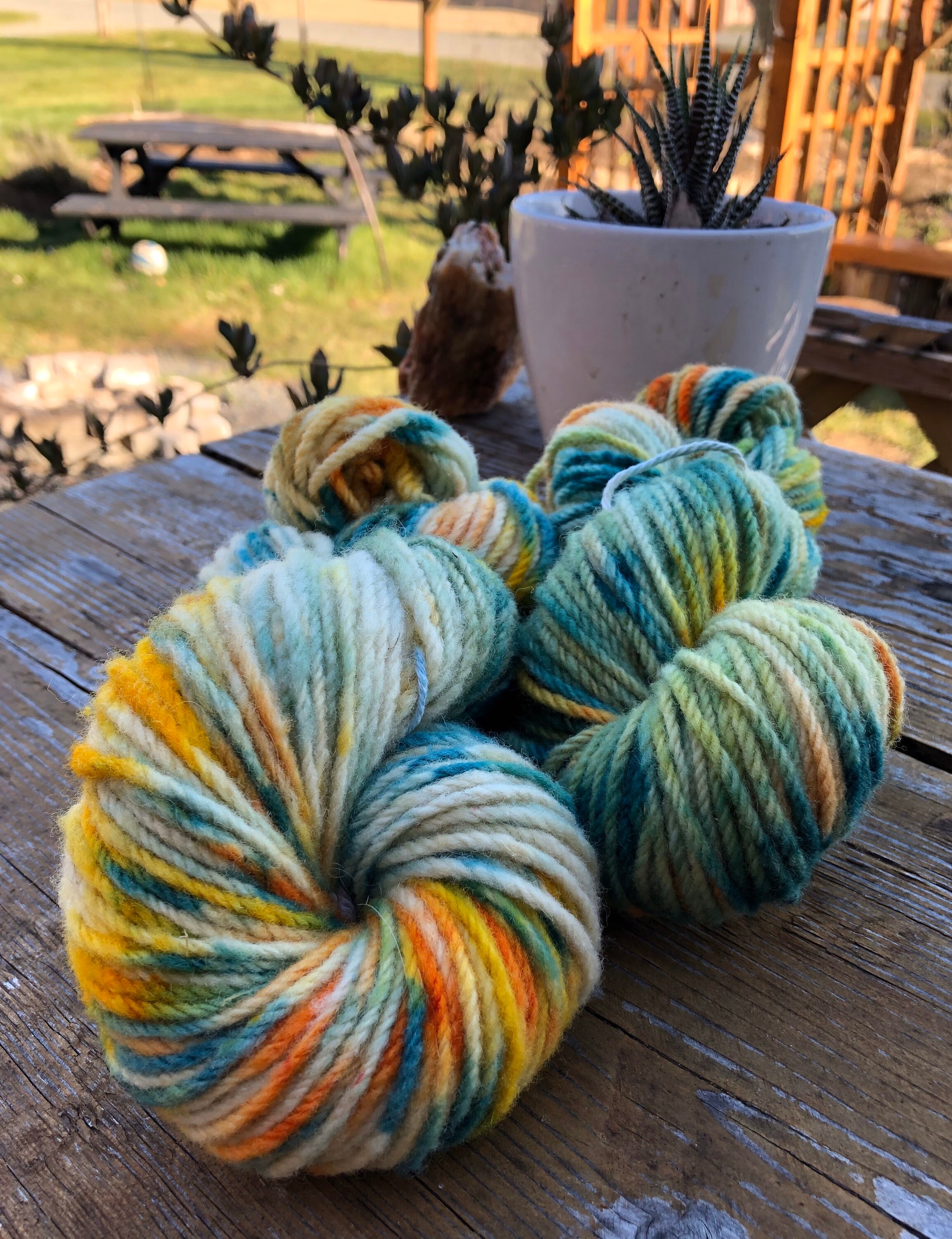 Jelly Bean Nougat Handdyed Aranweight Yarn Etsy