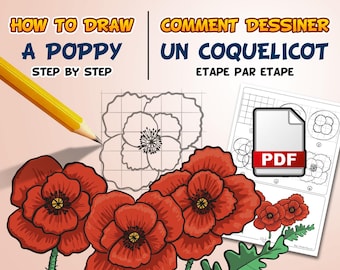 Comment dessiner une fleur de coquelicot étape par étape (PDF)
