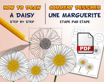 Comment dessiner une marguerite étape par étape (PDF)