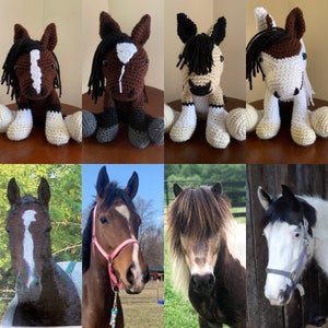 Customized Crochet Horse