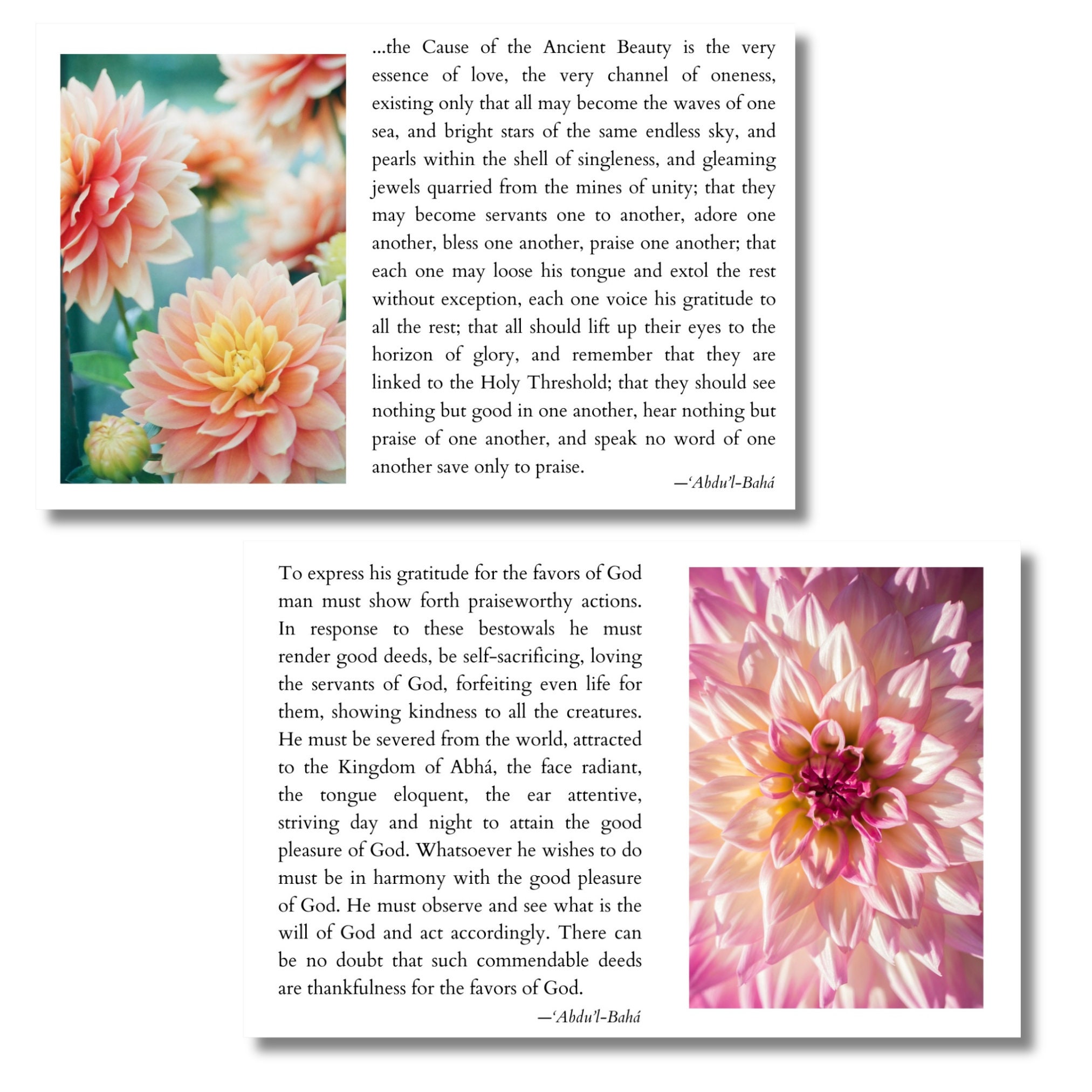 Baha'i Quotation Cards for Devotional Program on "gratitude", Digital ...