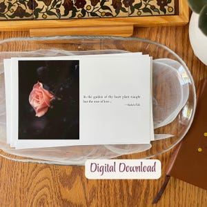 Op de afbeelding: Een printbare digitale download met een citaat over liefde en een foto van een enkele roze roos in een donkere omgeving. Het citaat luidt "In de tuin van uw hart plant niets anders dan de roos van de liefde... -Bahiallah".