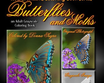 New Creations Coloring Books: BUTTERFLIES & MOTHS