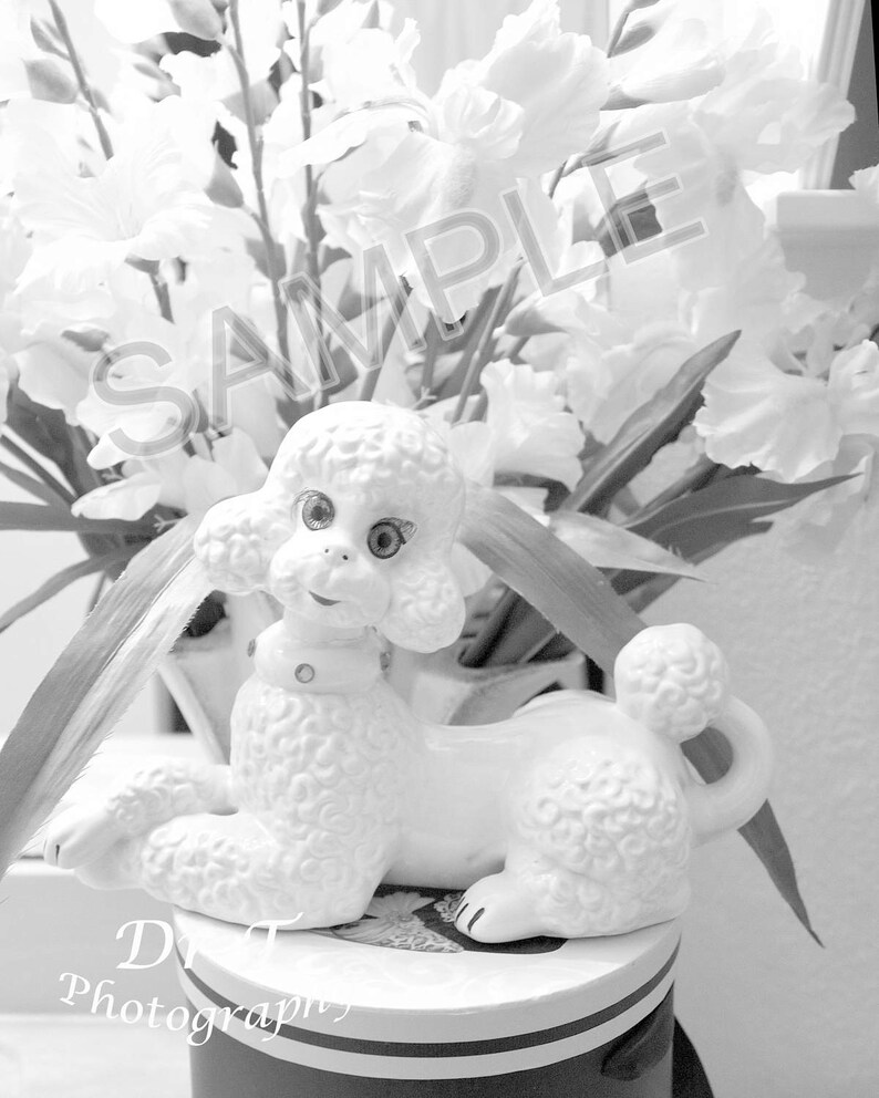 New Creations Coloring Book Series: VINTAGE - Etsy