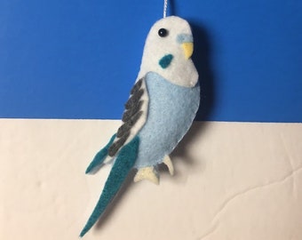 miniature budgies for sale