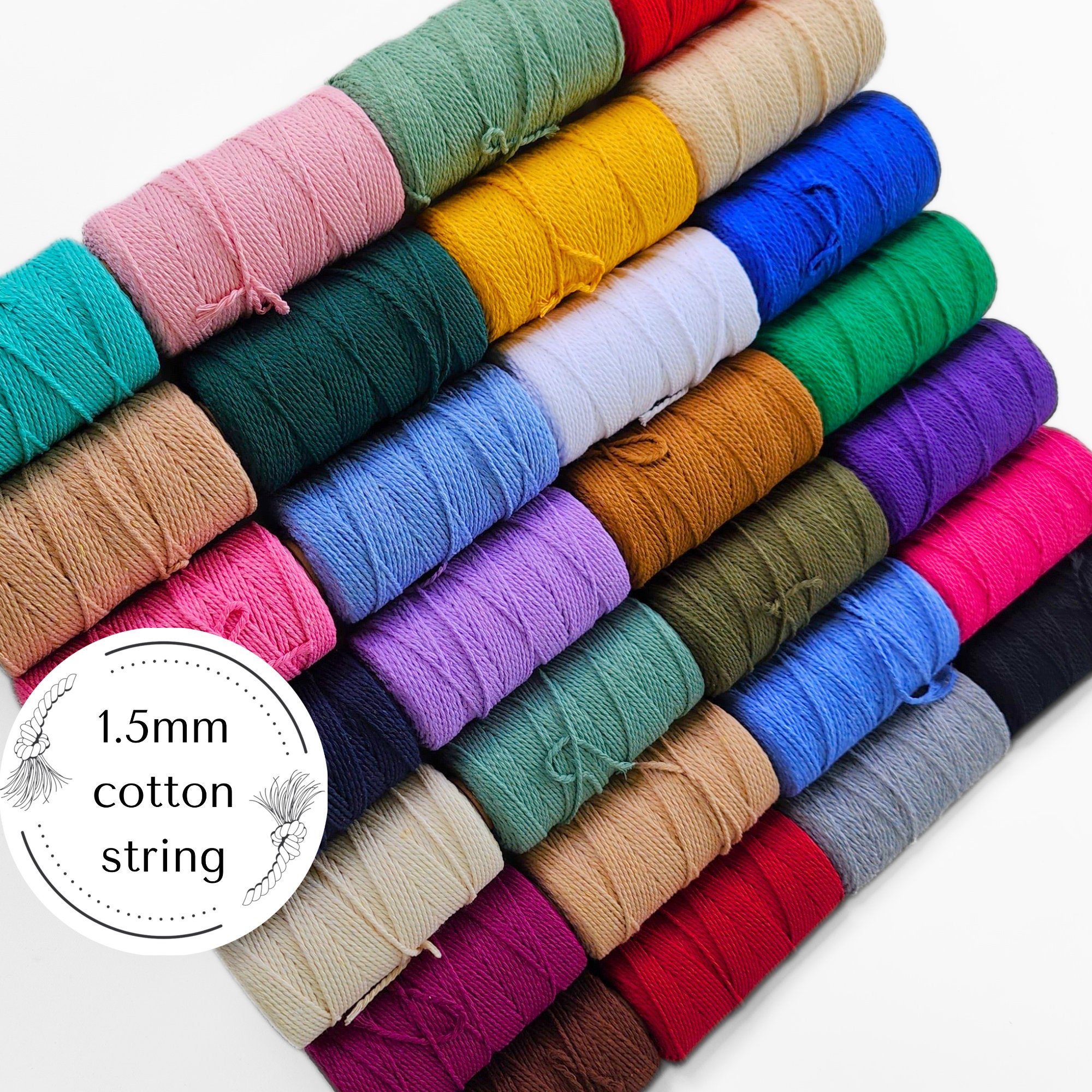 100 Yards Mini Paracord Colorful Para Cord 0.8mm for Jewelry Thin Nylon  Cording Beading Thread String Rope for Macrame Raf2 -  Canada