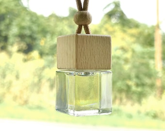 Hanging Car Diffuser Air Freshener