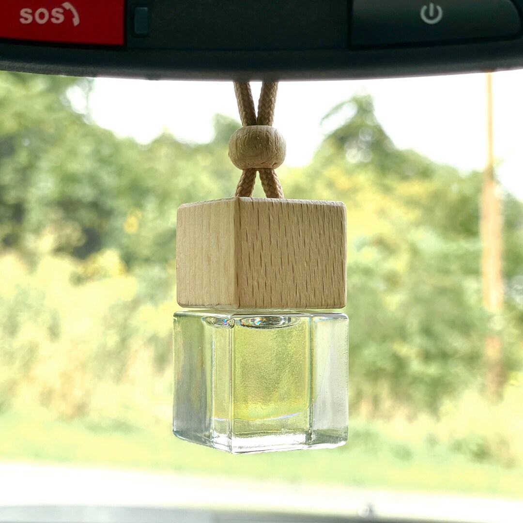 Hanging Car Diffuser Air Freshener - Etsy