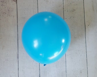 5" or 11" Qualatex Robin's Egg Blue Latex Balloons 10 Pack