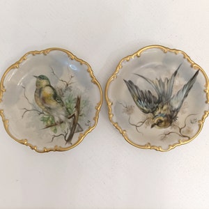 Rare pair of hand painted porcelain bird plates from Hutschenreuther Selb Bavaria GERMANY signed R.A from 1936 to 1965