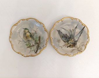 Rare pair of hand painted porcelain bird plates from Hutschenreuther Selb Bavaria GERMANY signed R.A from 1936 to 1965