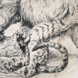 May include: Black and white pen and ink drawing of a large cat with a smaller cat curled up at its feet. The drawing is on a light brown paper.
