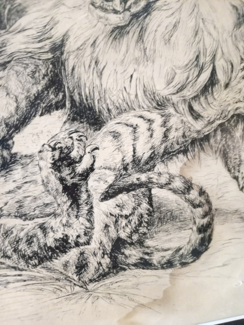 May include: Black and white pen and ink drawing of a large cat with a smaller cat curled up at its feet. The drawing is on a light brown paper.