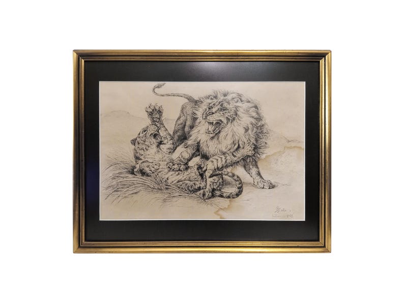 Antique original ink drawing signed by Spanish artist from 1928 original art with black mat and gold frame from Spain with lion and leopard image 1