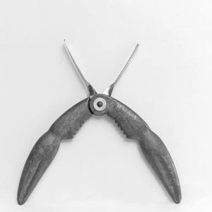 Peut inclure: Un casse-fruits de mer en métal doté de deux poignées texturées en forme de pince reliées par un pivot central. L'outil présente deux fines pointes métalliques s'étendant vers le haut depuis la charnière pour extraire la chair des crustacés.