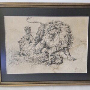 May include: A black and white drawing of a lion attacking a leopard. The lion is on top of the leopard, biting its neck. The drawing is framed in a gold frame.